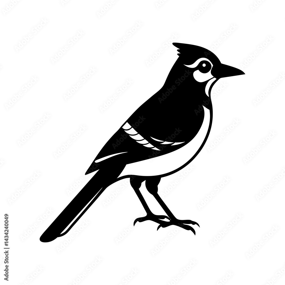 Obraz premium Blue Jay Silhouette vector illustration