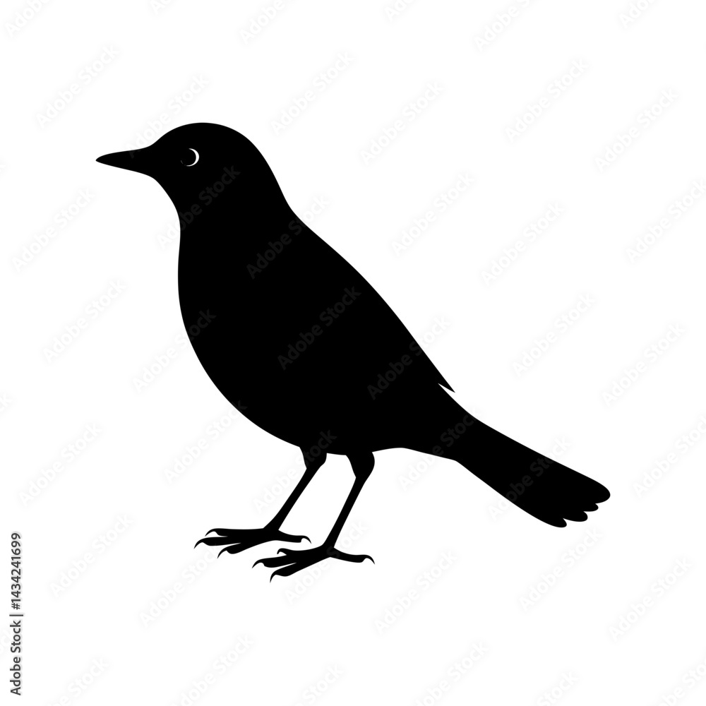 Obraz premium Blackbird Silhouette vector illustration