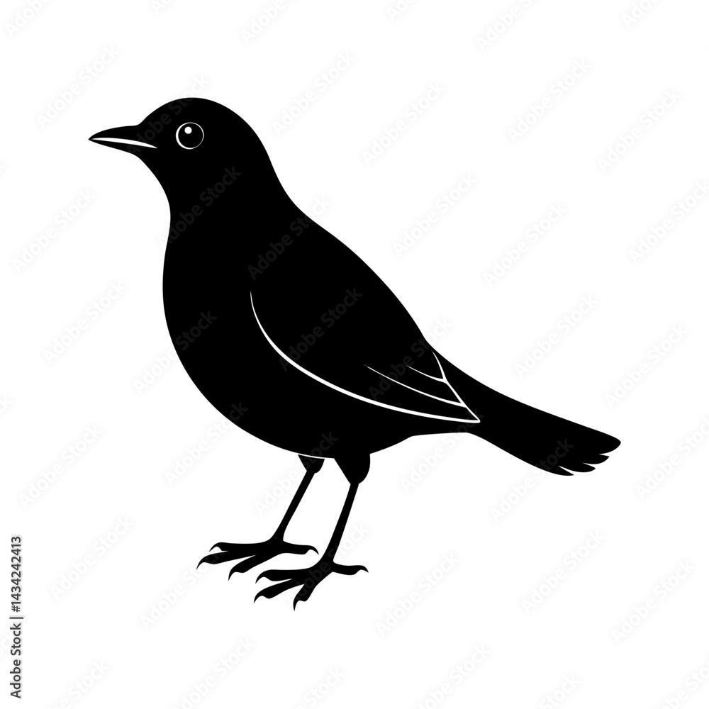 Obraz premium Blackbird Silhouette vector illustration
