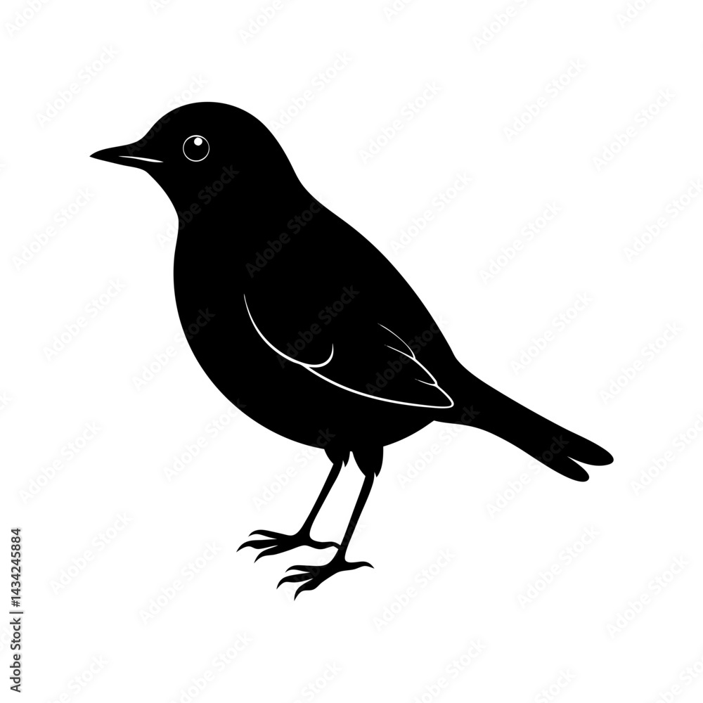 Obraz premium Bird Silhouette vector illustration