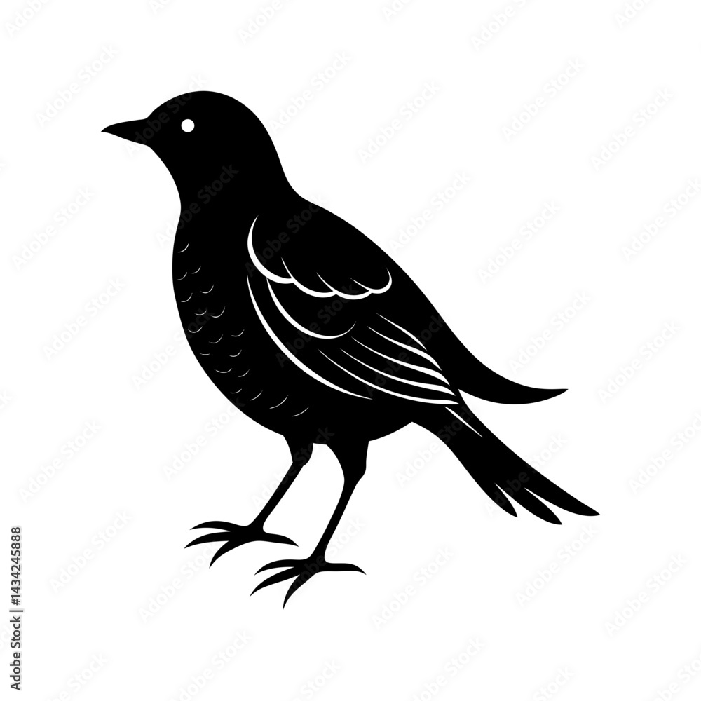 Obraz premium Bird Silhouette vector illustration