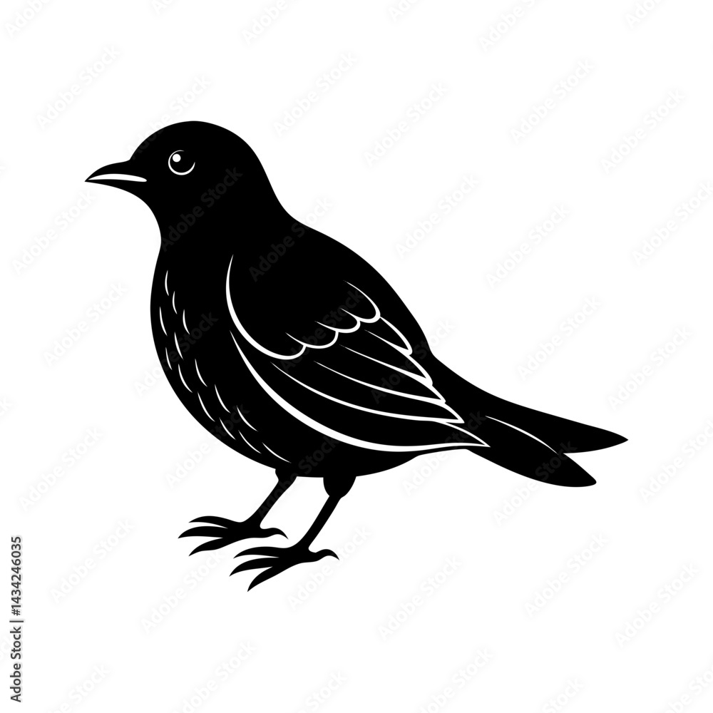 Obraz premium Bird Silhouette vector illustration