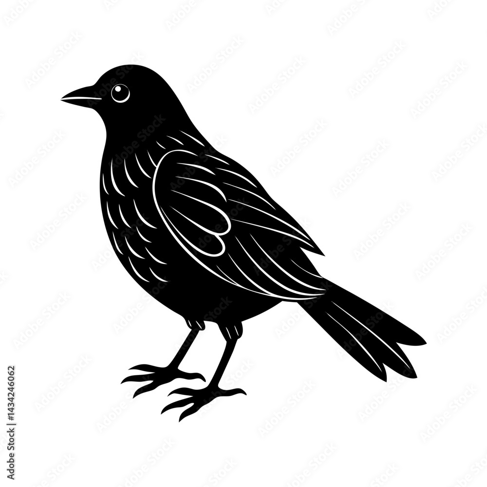 Obraz premium Bird Silhouette vector illustration