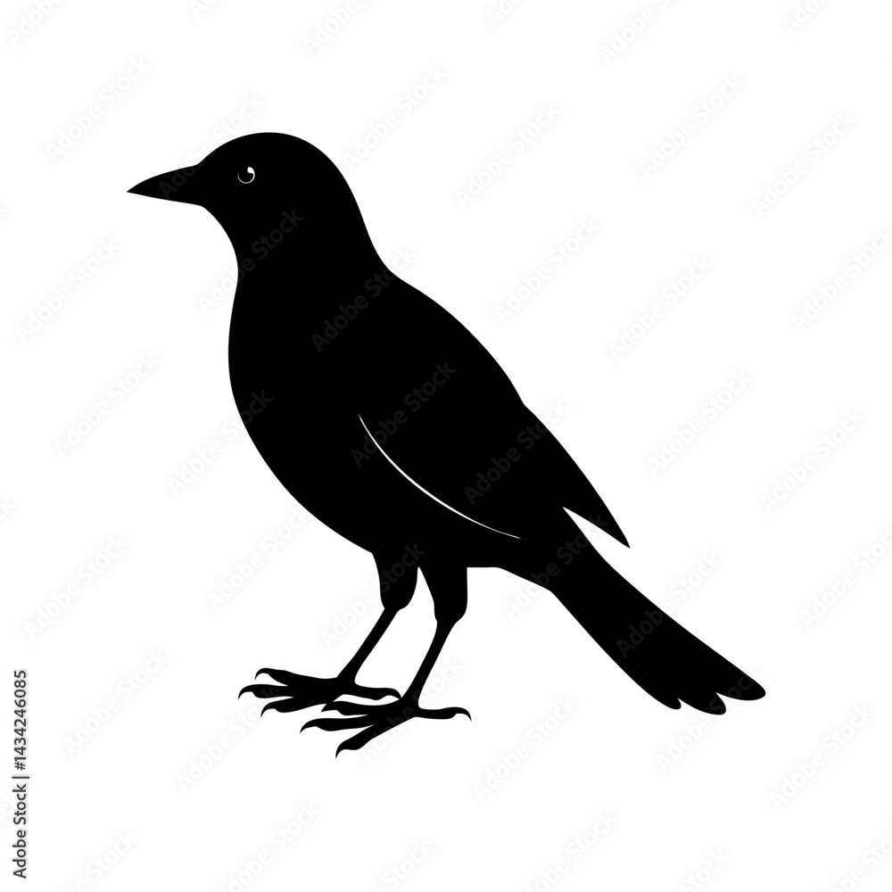 Obraz premium Bird Silhouette vector illustration
