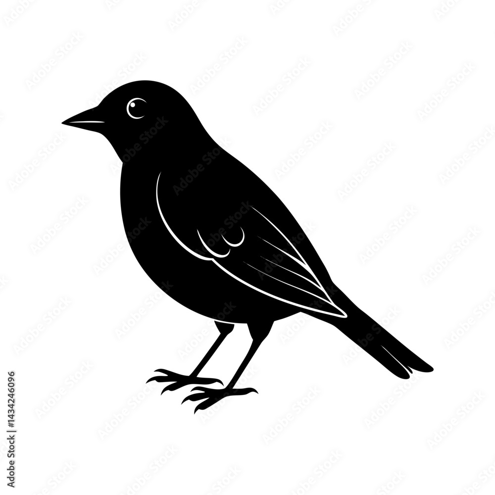 Obraz premium Bird Silhouette vector illustration