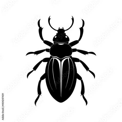 Beetle Silhouette vector illustration