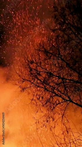 Vertical fire. The flame burns and kills life.