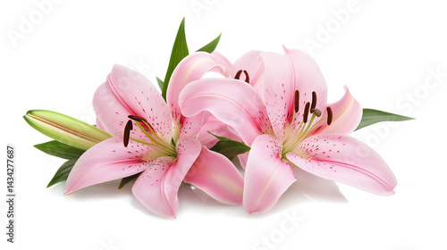 Three pink flowers with green leaves