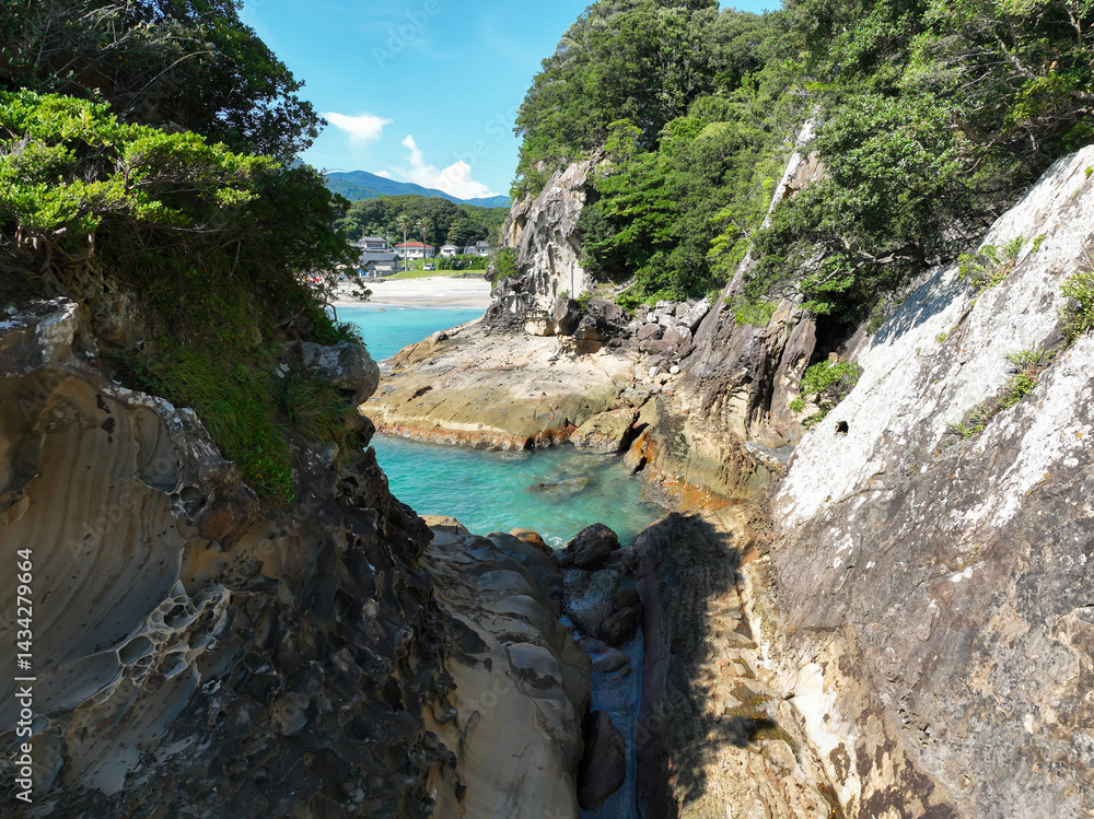 高知県土佐清水市 竜串海岸の風景