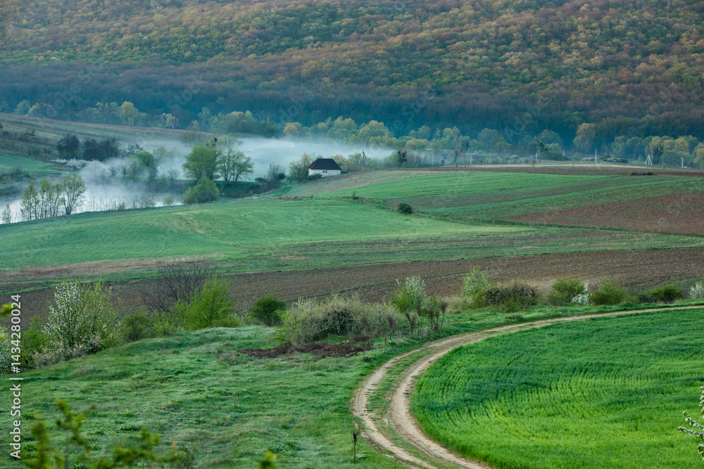 Beautiful rural landscape from the Republic of Moldova. Village life in spring.