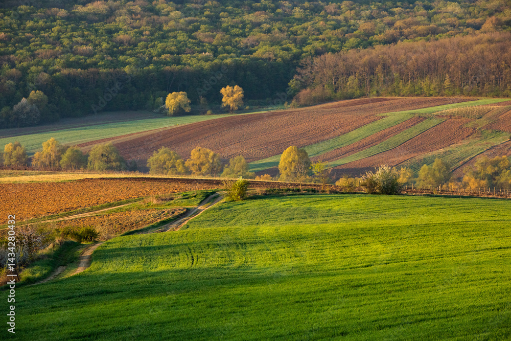 Beautiful rural landscape from the Republic of Moldova. Village life in spring.