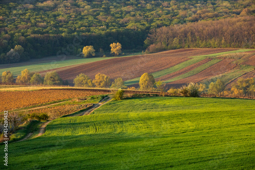 Obraz na płótnie Beautiful rural landscape from the Republic of Moldova. Village life in spring. w salonie