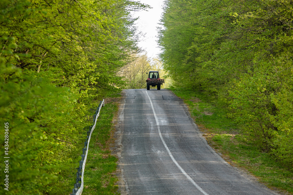 Beautiful rural landscape from the Republic of Moldova. Village life in spring.