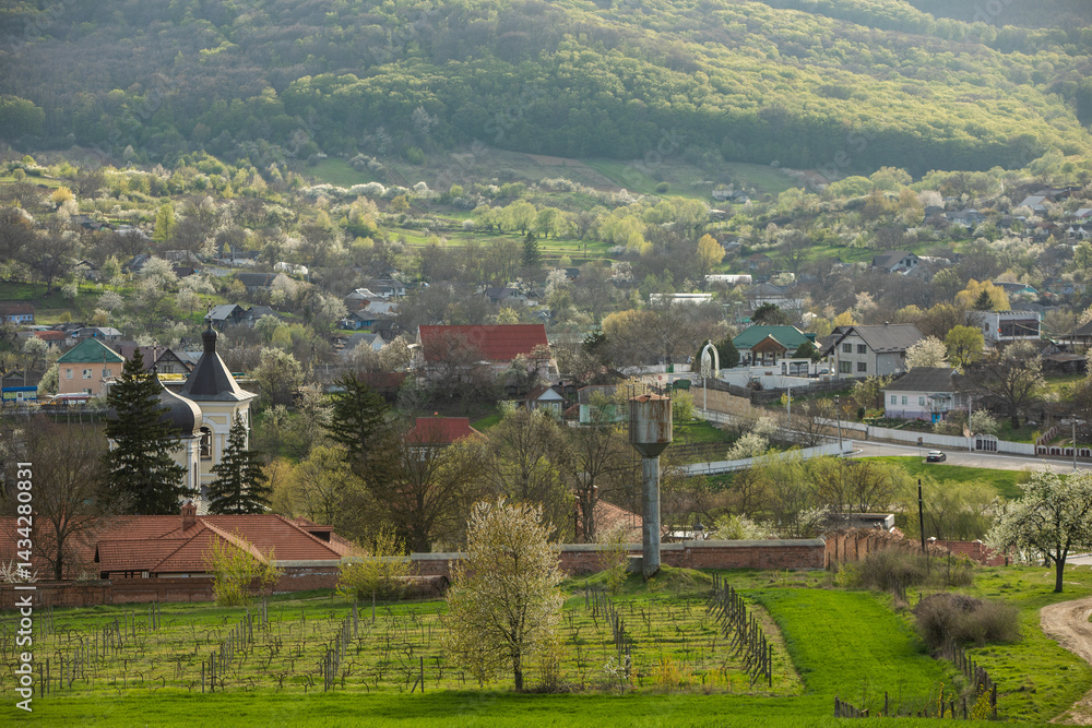 Beautiful rural landscape from the Republic of Moldova. Village life in spring.
