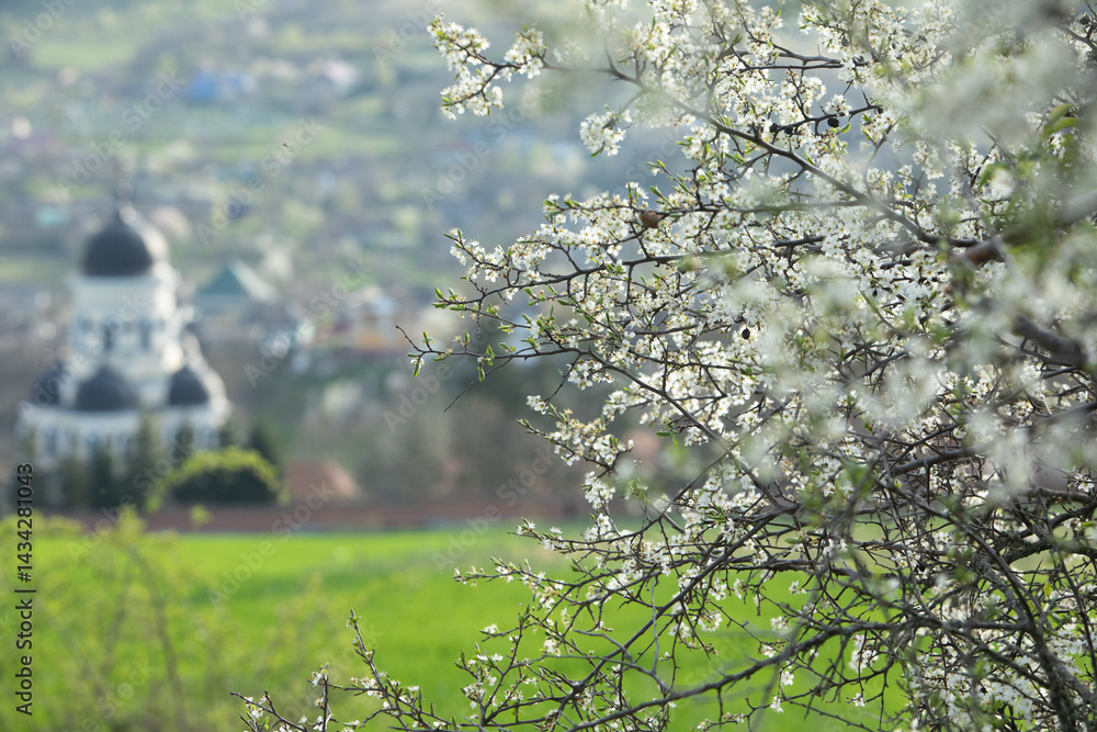 Beautiful rural landscape from the Republic of Moldova. Village life in spring.