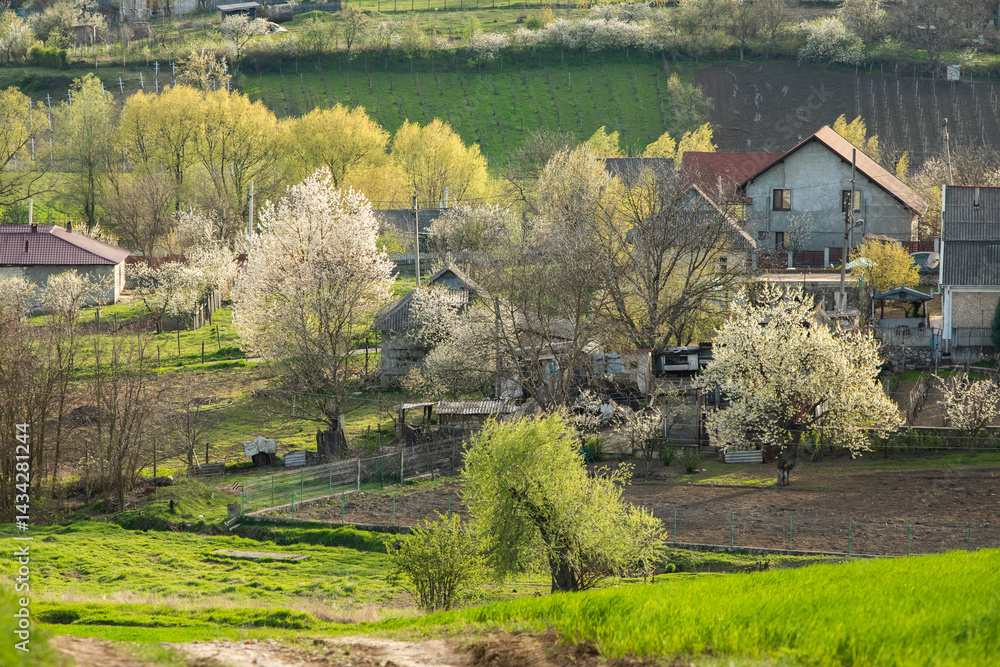 Beautiful rural landscape from the Republic of Moldova. Village life in spring.