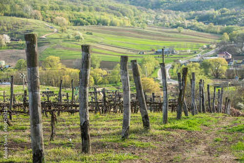 Beautiful rural landscape from the Republic of Moldova. Village life in spring.