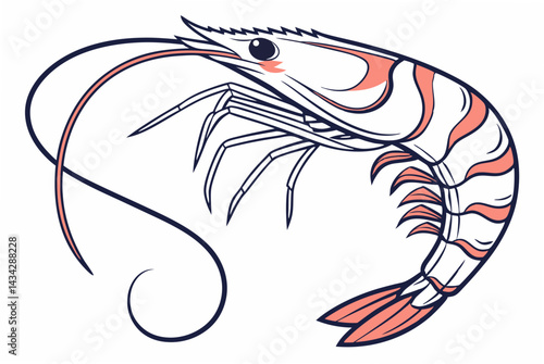 vector illustration of a shrimp