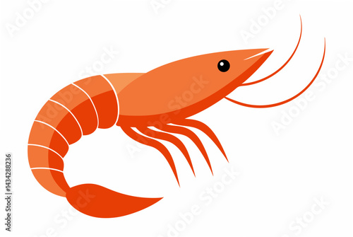 shrimp on white background
