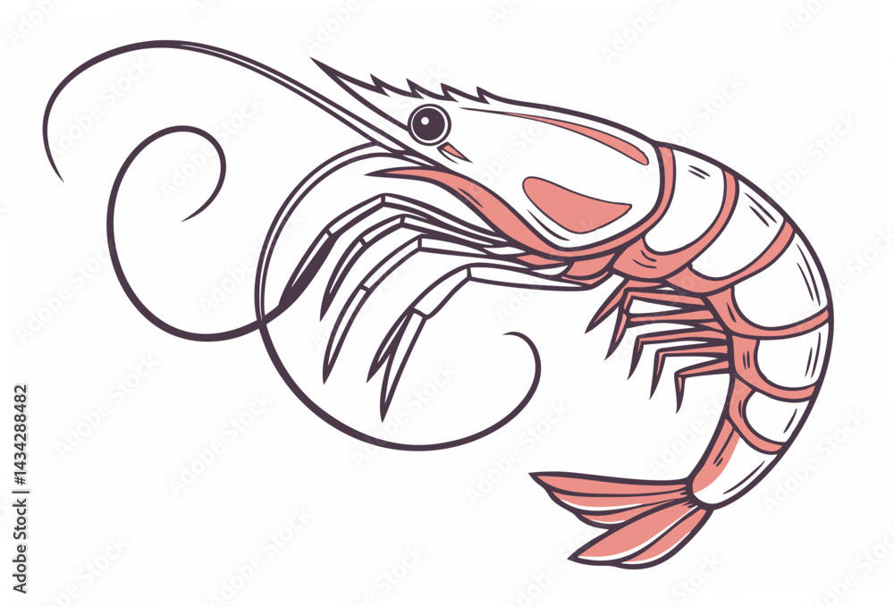Fototapeta premium shrimp vector illustration