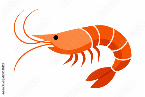 shrimp vector illustration