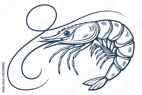 vector illustration of an octopus