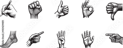 Hand Gestures and Foot Sketch Icons Collection | Adobe Illustrator Artwork