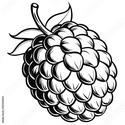 Black and White Illustration of a Raspberry