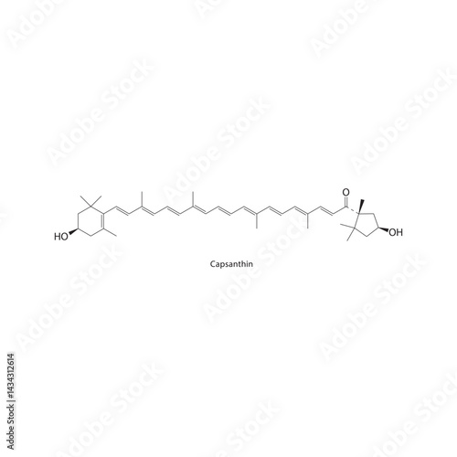 Capsanthin skeletal structure. Carotenoid compound schematic illustration. Simple diagram, chemical formula.