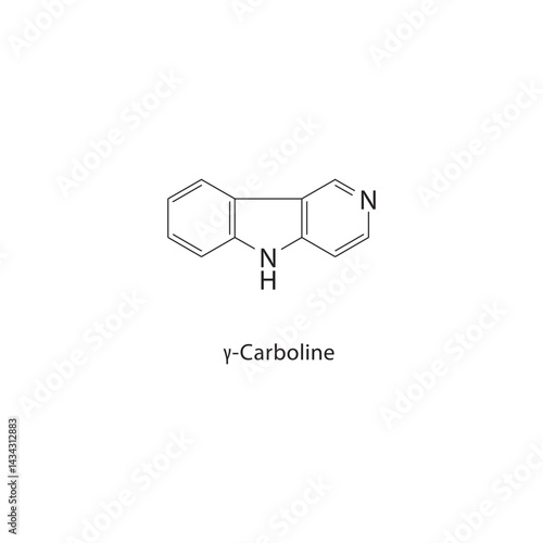 γ-Carboline skeletal structure. Alkaloid compound schematic illustration. Simple diagram, chemical formula.