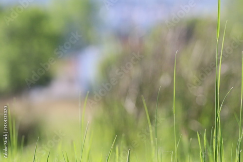 April spring in Covilhã Portugal