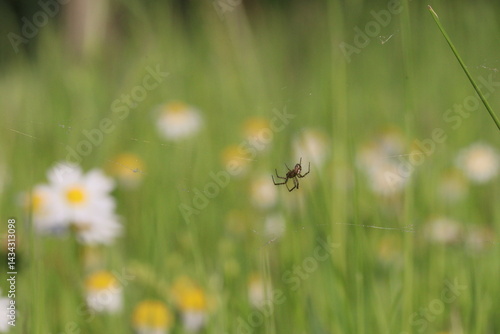 April spring in Covilhã Portugal