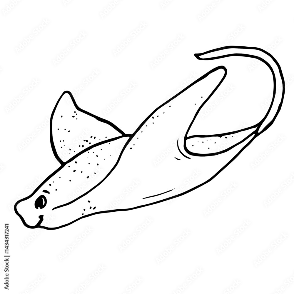 Fototapeta premium Sea stingray, a sketch in black and white ink. Vector illustration. A drawing of a marine animal, stingray, highlighted on a white background. Linear drawing of fish, the underwater world of the ocean