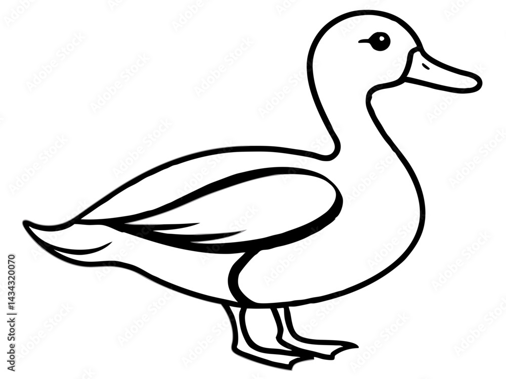 vector illustration line art duck