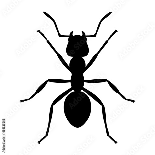 A black silhouette of an ant against a stark white background