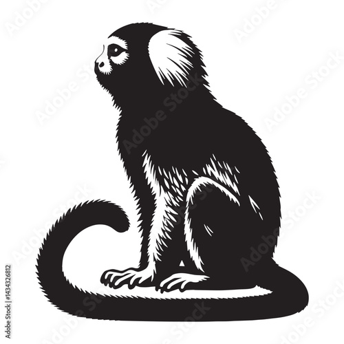 Sharp-edge marmoset silhouette vector ready for marketing collateral – marmoset silhouette – marmoset vector – marmoset illustration – silhouette of marmoset

