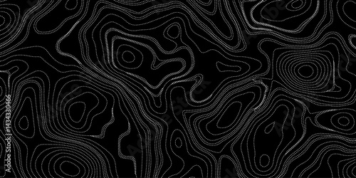 Generate a high-contrast black and white topographic map featuring detailed contour lines. The map should display various elevations using closely spaced, Topography and geography map grid abstract.
