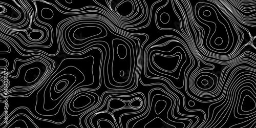 Generate a high-contrast black and white topographic map featuring detailed contour lines. The map should display various elevations using closely spaced, Topography and geography map grid abstract.