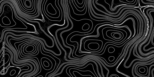 Generate a high-contrast black and white topographic map featuring detailed contour lines. The map should display various elevations using closely spaced, Topography and geography map grid abstract.