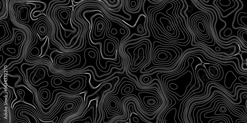 Generate a high-contrast black and white topographic map featuring detailed contour lines. The map should display various elevations using closely spaced, Topography and geography map grid abstract.