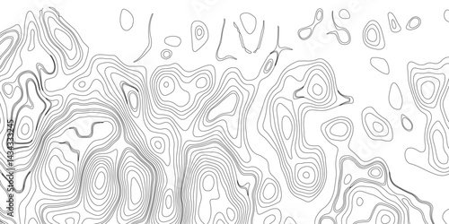 Generate a high-contrast black and white topographic map featuring detailed contour lines. The map should display various elevations using closely spaced, Topography and geography map grid abstract.