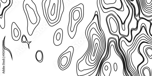 Topography and geography map grid abstract backdrop. Business concept. Fish Fillet Texture, Generate a high-contrast black and white topographic map featuring detailed contour lines. 