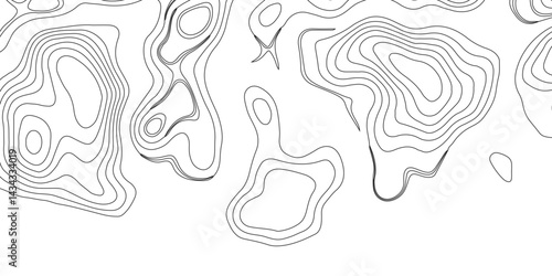 Topography and geography map grid abstract backdrop. Business concept. Fish Fillet Texture, Generate a high-contrast black and white topographic map featuring detailed contour lines. 