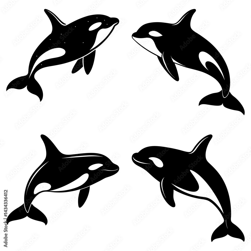 Fototapeta premium Killer Whale Silhouette vector