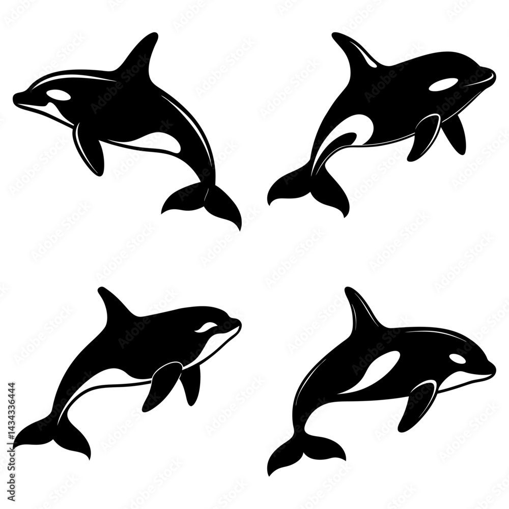 Fototapeta premium Killer Whale Silhouette vector