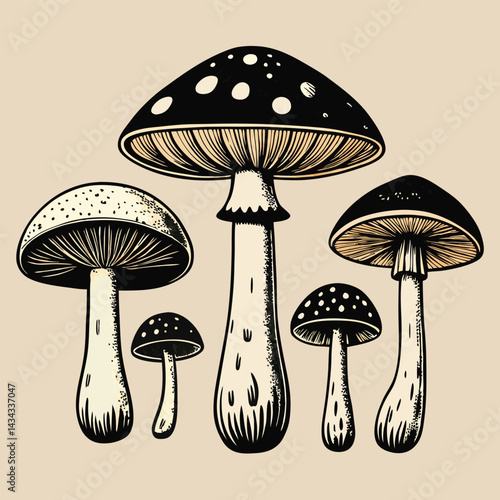 Collection of Hand Drawn Mushrooms in Vintage Style
