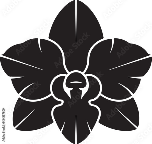 orchid flower isolated on white