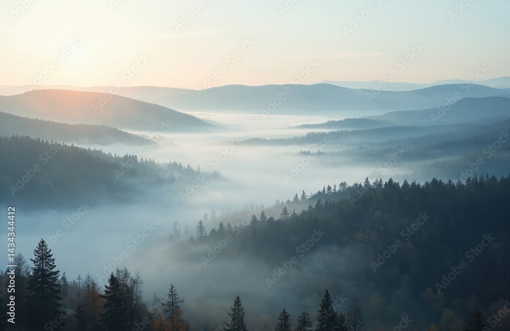 Naklejka premium Morning fog over hills. Trees covered in mist create magical landscape. Peaceful natural view. Perfect for travel, eco tourism, relaxation, meditation, environment protection projects.