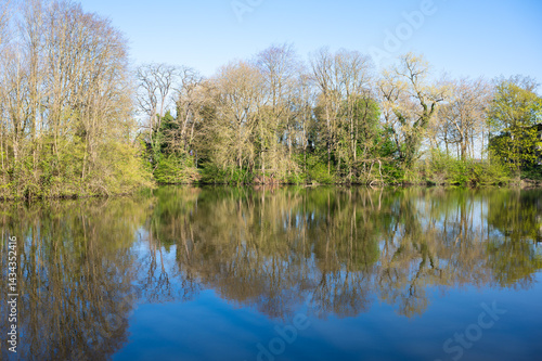 Tree reflections in the historical fortfication canal or Vesten in Ieper, West Flanders, Belgium