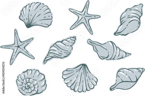 Vector Seashell and Starfish Set in Vintage Sketch Style.